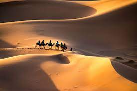 Sahara Dunes Morocco